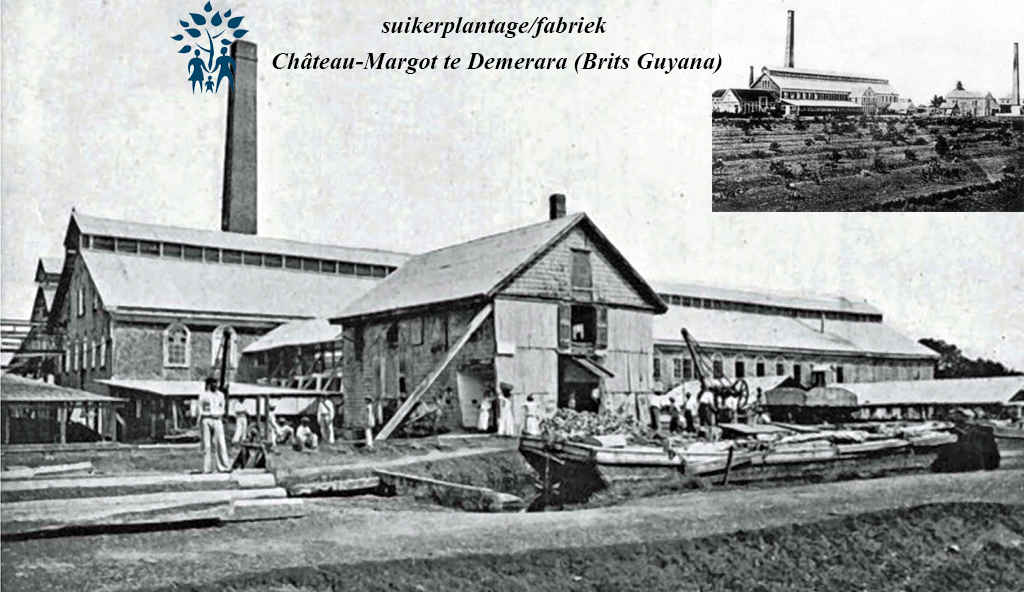 suikerplantage-fabriek_château-margot_te_demerara__brits_guyana__1916.jpg