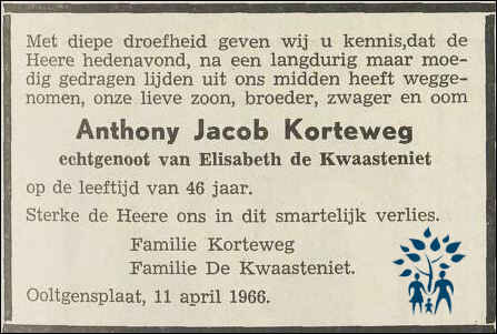 anthonij_jacob_korteweg__1919-1966_.jpg