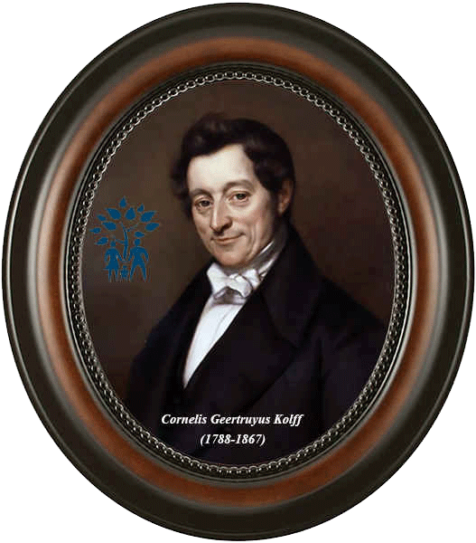 cornelis-geertruyus-kolff-_1788-1867_.png